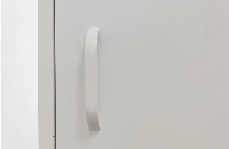 living room steel cabinet (1).jpg