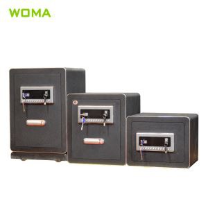 Fingerprint Steel Safe