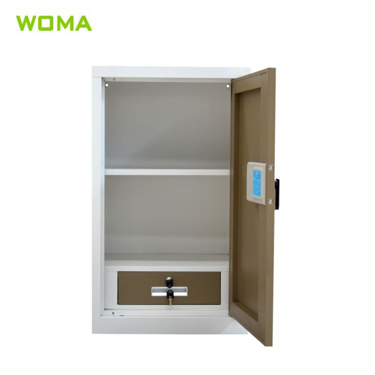 Small Security Cabinet